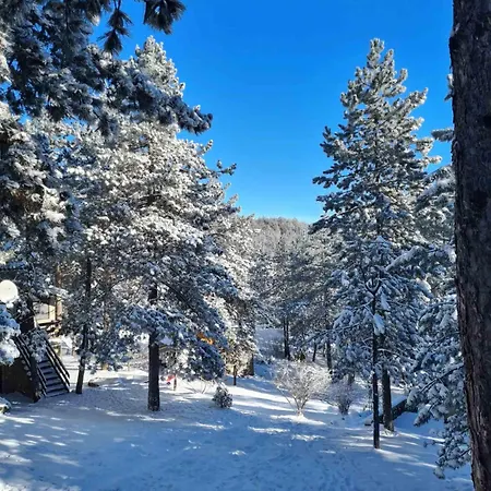 Jovanic * Divčibare