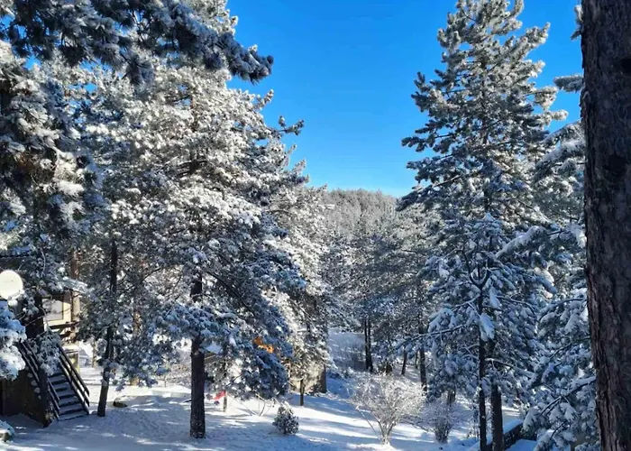 Jovanic * Divčibare