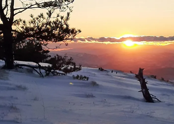 Jovanic Daire Divčibare